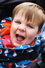 GALLERY: Mid Summer Arts Festival