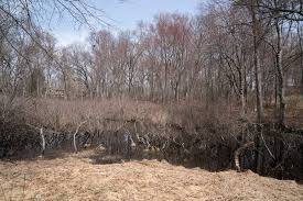 Image result for Tappan Copperloy Brown 1983 Tappan