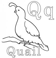 In this letter recognition coloring learning exercise, students use their artistic in this letter recognition coloring worksheet, students use their artistic skills to color the picture of the lowercase letter q. Quail For Letter Q Coloring Page Bulk Color Coloring Worksheets For Kindergarten Kindergarten Coloring Sheets Color Worksheets