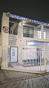 Hospital Veterinario Limari