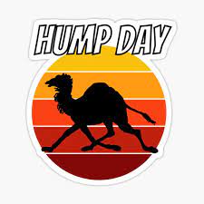Guess what day it is? Hump Day Stickers Redbubble