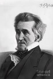 Painting Of Andrew Jackson by Bettmann