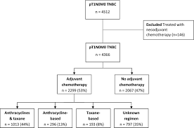 Check spelling or type a new query. Adjuvant Chemotherapy In Small Node Negative Triple Negative Breast Cancer European Journal Of Cancer