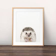 Hedgehog Print Nursery Decor Baby Hedgehog Art Woodland Etsy Woodland Animal Prints Animal Wall Art Nursery Hedgehog Print