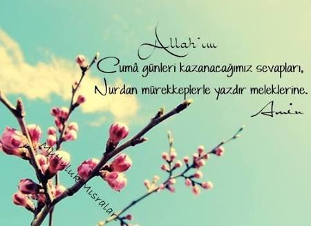 images