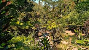 Lokasi coban siuk terletak di desa taji berjarak 4,3 km dari arah coban jahe. Coban Siuk Pemandangan Alami Dengan Bonus Air Terjun Mini Di Dalamnya