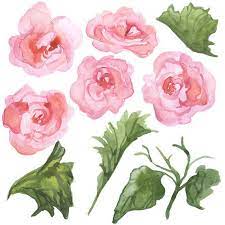 Watercolor Begonias Clip Art Spring Florals Garden Clip Art Etsy In 2021 Floral Watercolor Art Clip Art