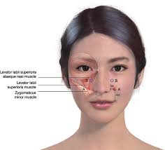 Plastic and Reconstructive Surgery®