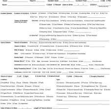 A Sustainable Structure For Jockey Injury Data Management