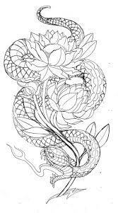 Image Result For Dragon Japanese Outline Japanese Snake Tattoo Snake Tattoo Design Japanese Tattoo Designs Dragon tattoo outline by mcrmorbid on deviantart. japanese tattoo designs