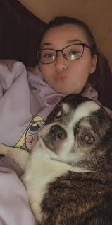 Lost dog in Euharlee Road area?