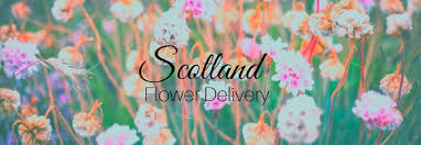 Maybe you would like to learn more about one of these? The 8 Best Options For Flower Delivery In Scotland 2021