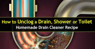 We did not find results for: 7 Simple But Effective Ways To Unclog A Drain