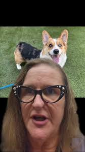 Barry Allen was wrongfully euthanized at San Jose Animal Care and Services,  with no chance given to him to be evaluated for adoption or networked for  rescue. He was yet another dog that was failed by ...