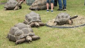 Image result for lincolnshire reporter