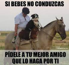Memes De Borrachos Google Search Memes Divertidos Borrachos Chistosos Imagenes De Risa