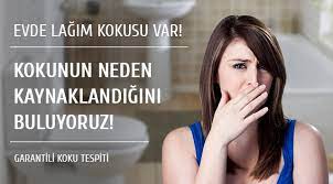 Rahatsız edici yemek kokularından, boya kokusuna kadar can sıkıcı ve rahatsız eden kötü evdeki boya kokusunu gidermek bir hayli güç görünebilir. Banyodan Gelen Lagim Kokusu Nasil Giderilir Acil Yardim Pro Tesisat