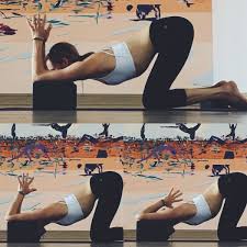 Nancy Nelson Yoga Wellness Yin Yoga Sequence Yoga Blocks Exercises Iyengar Yoga