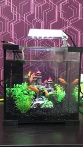81, jalan seri impian 1. Klinik Mediviron Teluk Pulai Home Facebook