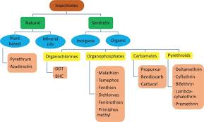 Image result for Pyrethroid