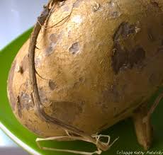 Also known as yam bean or this vegetable has crisp juicy flesh inside and is covered with brown thick and coarse peel. Jicama Facts Hi Ku Muh Healthyhappylife Com