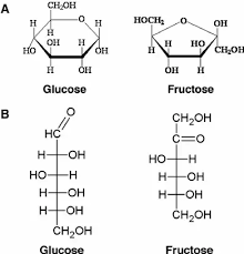 So we have a total of 6 + 12 + 6 =24 atoms in a molecule of glucose. Why Are There Two Names I E Glucose And Fructose If They Have The Same Chemical Formula Where Can I See These All In The Practical World Quora