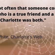 1148 quotes from the little prince: 10 Terrific Quotes From Charlotte S Web By E B White Writer S Digest
