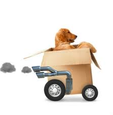 Get free quotes in minutes from reviewed, rated & trusted pickup & delivery near me on airtasker but your delivery service may cost more or less depending on the type of items you need delivered, the size of the items, when you need them. Puppy Delivery Is Returning To D C Tomorrow Dcist