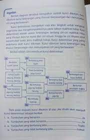 Kunci determinasi dibuat secara bertahap, sampai bangsa, suku, marga, atau jenis dan seterusnya. Kunci Determinasi Bayam Jagung Lumut Melinjo Pakis Padi Brainly Co Id