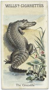 The Crocodile Id 411607 Nypl Digital Gallery Alligators Art Crocodile Illustration Pet Birds