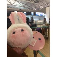 Check spelling or type a new query. Rabbit Marimong Spao X Marimong Shopee Indonesia