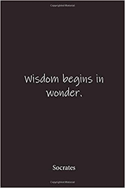 Wisdom Begins In Wonder Socrates Place For Writing Thoughts Spotnotebooks 9798620145768 Amazon Com Books