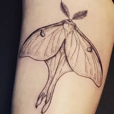 We appreciate each and every one of our clients. My Luna Moth By Evan Davis Banshee Tattoo In Nashville Tn Tattoos