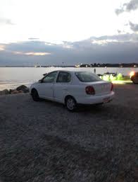 I want to treat my echo right, what cosmetic and performance mods should I  get? : r/Cartalk