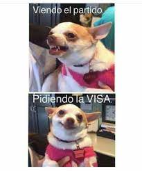 Pin De Rosa Cordero En Memes Memes Fotos Costa