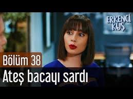 Pin By Jenny Siemion On Erkenci Kus Day Dreamer Le Ali Del Sogno In 2020 Youtube The Dreamers Campaign