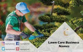 202 Lawn Care Business Names And Slogans To Decide Lawn Care Business Lawn Care Lawn Care Business Cards