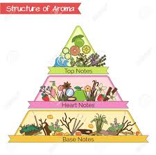 Aromatic Structure Notes Guide For Perfume Scent And Aroma Info