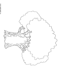 Defini\tely, the tree coloring pages for christmas is very easy because the shape resembles like a cone. Oak Tree Coloring Pages For Kids Free Printable Oak Tree Coloring Pages