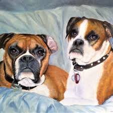 Designed and made in australia, our custom pet portraits are a perfect gift for any pet lover or a beautiful way to remember a dearly missed furry friend. Pet Portraits Melbourne Dog Portraits Australia Nap