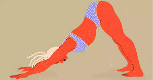 Check spelling or type a new query. These Beginner Yoga Sex Positions Will Make You Feel All The Feels