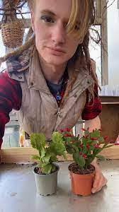 Rebecca Tunnell's Instagram, Twitter & Facebook