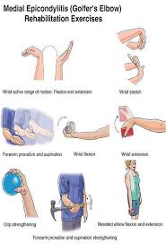 Related online courses on physioplus. Elbow Exercises Active Care Physiotherapy Clinic