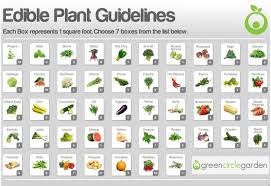 Square Foot Garden Diagram Wiring Diagrams