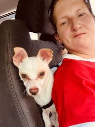 Traffic Jam at the rush hour in our apartment. Timur Emre jr 6 years old  Hooman, Ata Deniz 7 Months old Hooman, Thor 2 years old AB Dog 😎😎😏