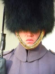 Crow Larry & Pam, 593 Wild Pine Way, St Clair, MO 63077, US