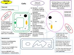 Find homework and revision help for all of your gcse subjects. Cell Biology Topic 1 Full Set Of Revision Card Activities For New Aqa Biology Gcse Teaching Resources
