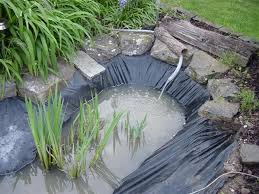 Le Forum De Passion Bassin Bassin De Jardin Baignade Naturelle Technique Plantes Aquatiques Poisso En 2020 Bassin De Jardin Plantes Aquatiques Baignade Naturelle