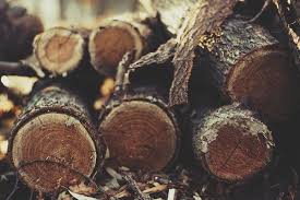 Pile Of Wooden Logs Wooden Log Photography For Sale Photos For Sale
