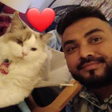 Stream Hold Onto My Fur (Talking Cat Song) by Deep Sharma